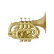 Carol_Brass___N3000(D)_ALL-SATIN_GB_[Bb_Pocket_Trumpet]_[Pre-shipment_adjustment_for_peace_of_mind]_01