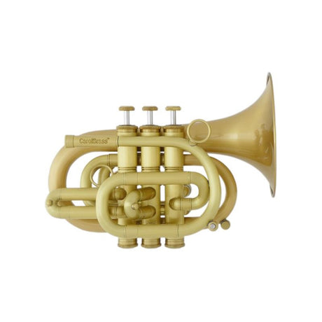 Carol_Brass___N3000(D)_ALL-SATIN_GB_[Bb_Pocket_Trumpet]_[Pre-shipment_adjustment_for_peace_of_mind]_01