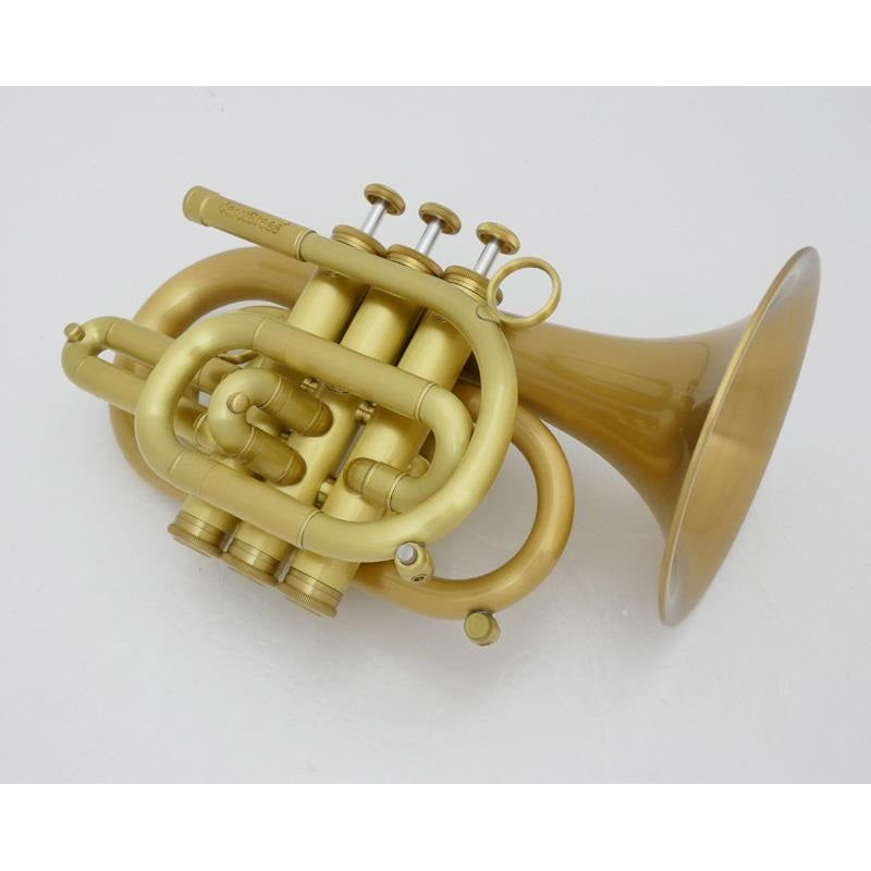 Carol_Brass___N3000(D)_ALL-SATIN_GB_[Bb_Pocket_Trumpet]_[Pre-shipment_adjustment_for_peace_of_mind]_02