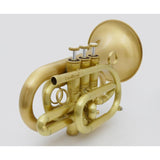 Carol_Brass___N3000(D)_ALL-SATIN_GB_[Bb_Pocket_Trumpet]_[Pre-shipment_adjustment_for_peace_of_mind]_03