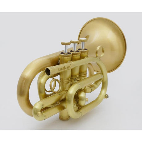 Carol_Brass___N3000(D)_ALL-SATIN_GB_[Bb_Pocket_Trumpet]_[Pre-shipment_adjustment_for_peace_of_mind]_03