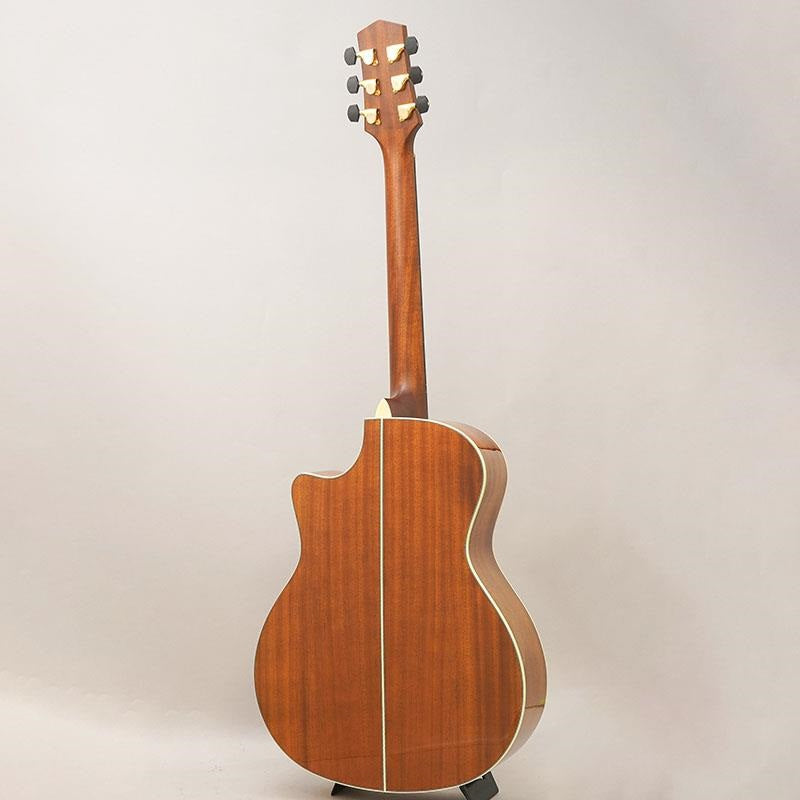 USED_​​Starsun_Guitars_F120-GA_04