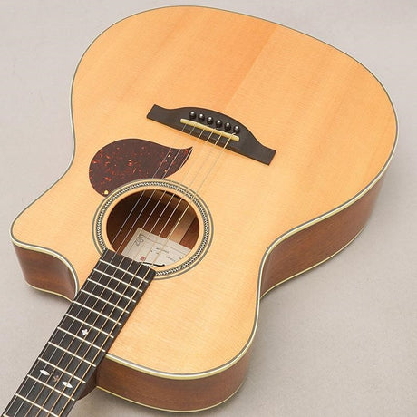 USED_​​Starsun_Guitars_F120-GA_05
