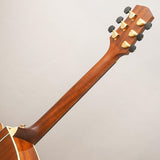USED_​​Starsun_Guitars_F120-GA_10