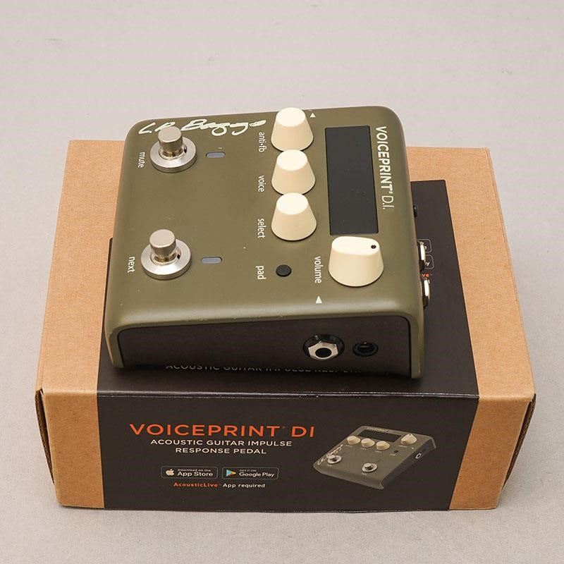 USED_​​Voice_Print_DI_03