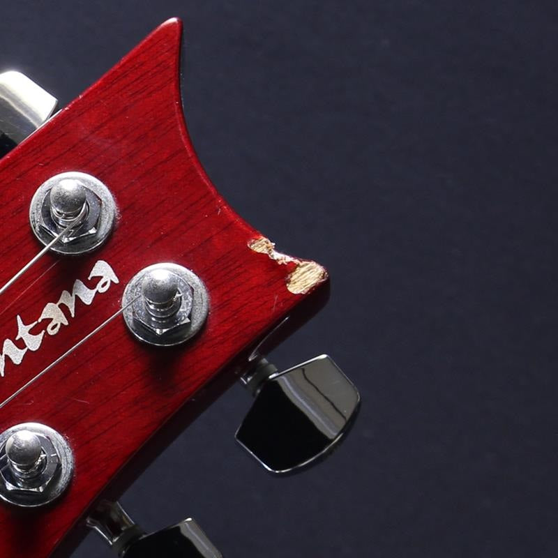 USED_​​SE_Santana_Standard_(Vintage_Cherry)_09