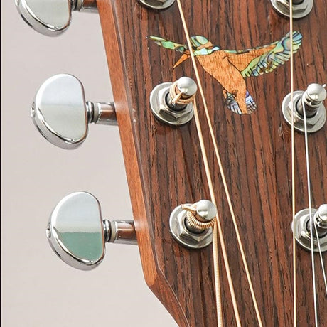 USED_​​HOC-KINGFIHSER_'23_Headway_10