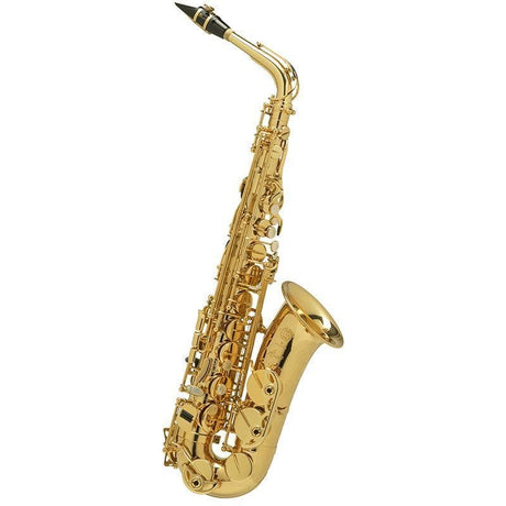 [Selected_by_Makoto_Hondo]_Selmer_AXOS_Celeste_Alto_Saxophone_[Selection_Fee_Included!!]_[Shipped_After_Adjustment_&_Setup]_[5_Years_of_Free_Key_Balance_Adjustment]_01
