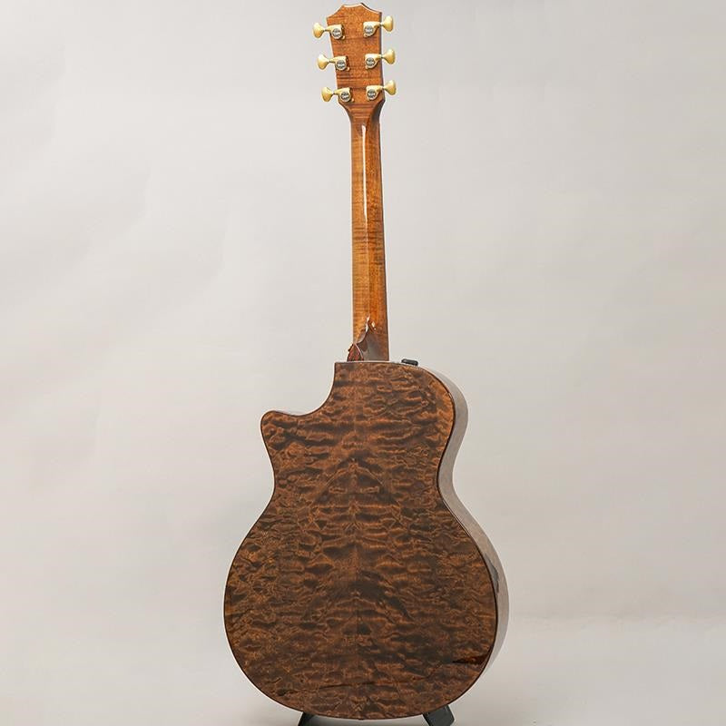 Taylor_Custom_Gace_Hand_Select_All_Quilt_Maple_(Transparent_Dark_Brown)_[Ikebe_Musical_Instruments_50th_Anniversary_Limited_Edition_Model]_04