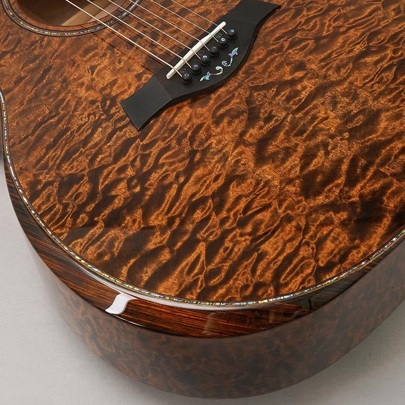 Taylor_Custom_Gace_Hand_Select_All_Quilt_Maple_(Transparent_Dark_Brown)_[Ikebe_Musical_Instruments_50th_Anniversary_Limited_Edition_Model]_08