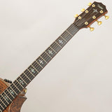 Taylor_Custom_Gace_Hand_Select_All_Quilt_Maple_(Transparent_Dark_Brown)_[Ikebe_Musical_Instruments_50th_Anniversary_Limited_Edition_Model]_10