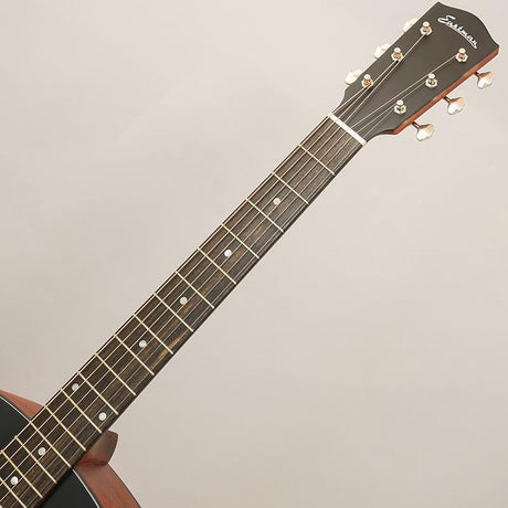 [Excellent_Used_Condition]_Used_E1SS-SB_Eastman_09