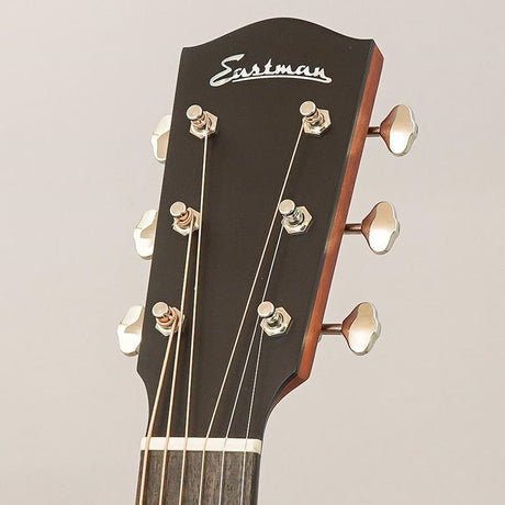 [Excellent_Used_Condition]_Used_E1SS-SB_Eastman_11