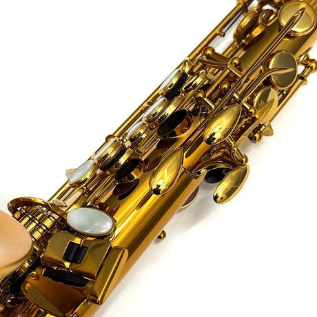 USED_​​Alto_Saxophone_H__Selmer_Reference_(S_N_810xx4)_[Shipped_after_adjustment_&_setup]_[Free_key_balance_adjustment_for_5_years]_11