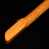 USED_​​Blaster_Bass_10