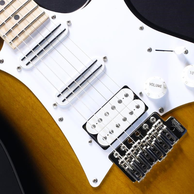 AT100CL-SB_(Sunburst)_[Andy_Timmons_Model]_#F2618808_04