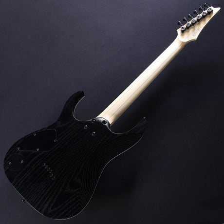Prestige_RGR662AHBF-WK_(Weathered_Black)_[SPOT_MODEL]_#F2613222_06