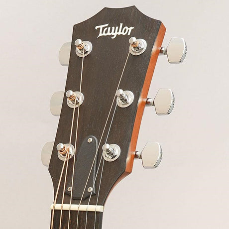 USED_​​114ce_Walnut_'17_Taylor_10
