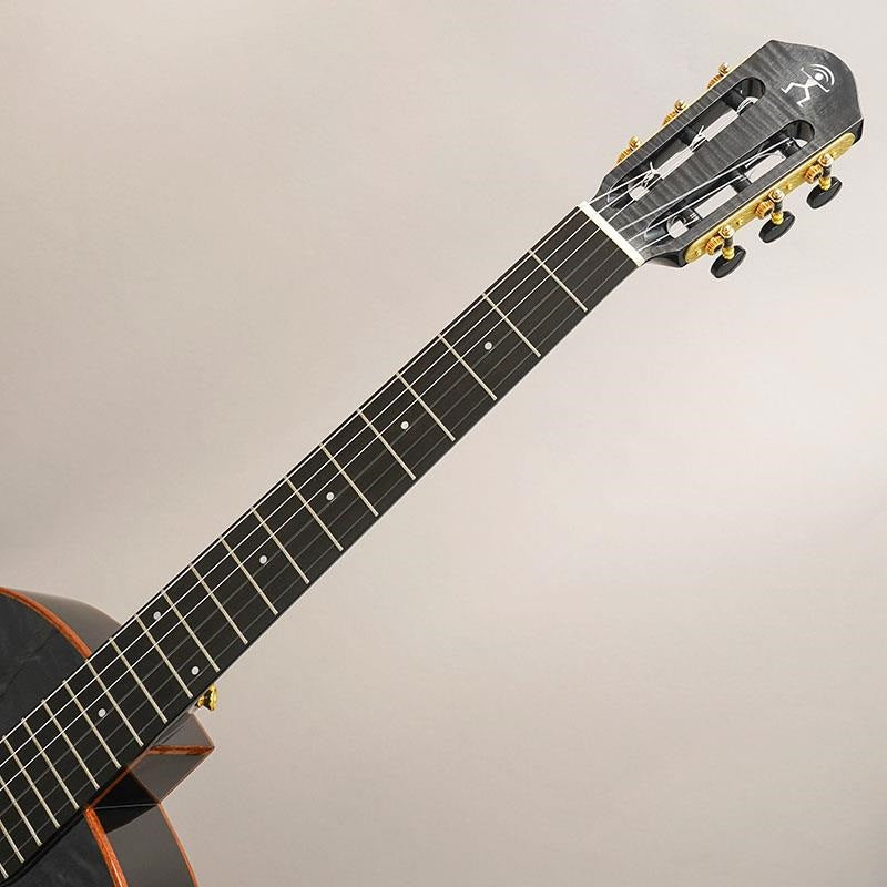 USED_​​aNN-LN77E_Anuenue_09