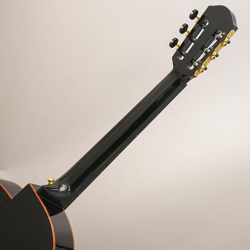 USED_​​aNN-LN77E_Anuenue_10