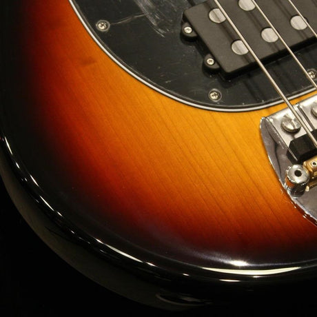 PINO_PALLADINO_StingRay_Bass_(79_Burst___Fretless)_03