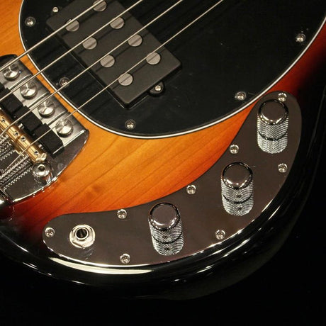 PINO_PALLADINO_StingRay_Bass_(79_Burst___Fretless)_04