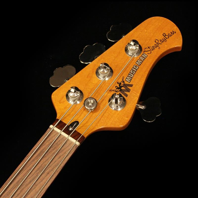 PINO_PALLADINO_StingRay_Bass_(79_Burst___Fretless)_09