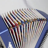 USED_​​Maugein_French-style_button_accordion，_custom_model_(Chromatic，_C-System)_06