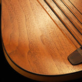USED_​​MB-2_4-string_(Walnut_Top)_03