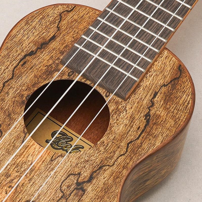 USED_​​Leolani_SQ85G_07