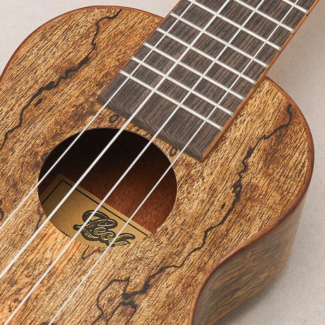 USED_​​Leolani_SQ85G_07