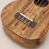 USED_​​Leolani_SQ85G_08