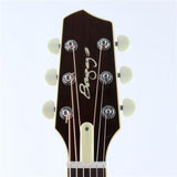 USED_​​AEG-1_07