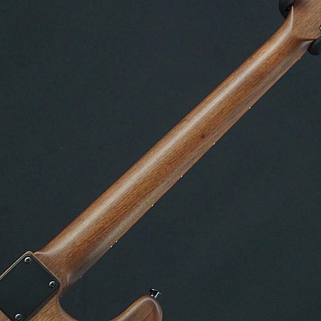 USED_​​Schecter_PW-ST-WA_(Natural)_06
