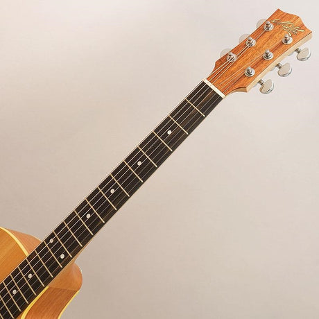 USED_​​Maton_Performer_08