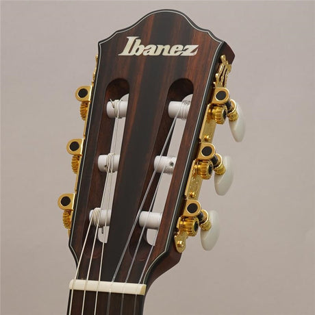 Ibanez_FRH10N_BSF_(Brown_Sunburst_Flat)_11