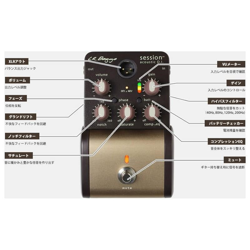 Session_Acoustic_DI_[New，_Box_Damaged，_Special_Price]_03