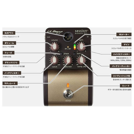Session_Acoustic_DI_[New，_Box_Damaged，_Special_Price]_03