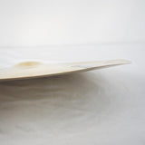 USED_​​AAX_Chinese_16_Brilliant_[AAX-16C-B]_[768g]_09