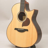 USED_​​Starsun_Guitars_R60_01
