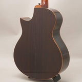 USED_​​Starsun_Guitars_R60_02