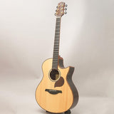 USED_​​Starsun_Guitars_R60_03