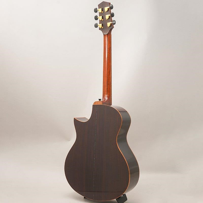 USED_​​Starsun_Guitars_R60_04