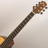 USED_​​Starsun_Guitars_R60_09