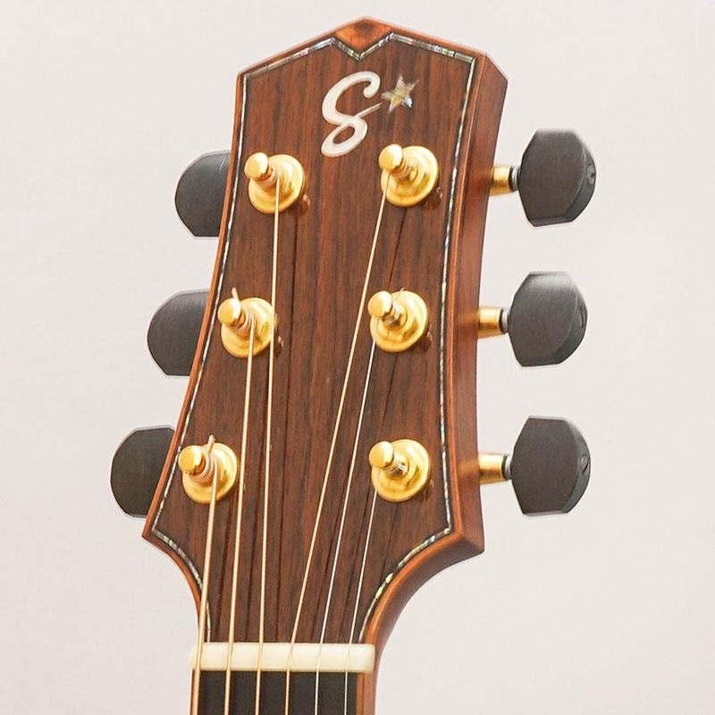 USED_​​Starsun_Guitars_R60_11