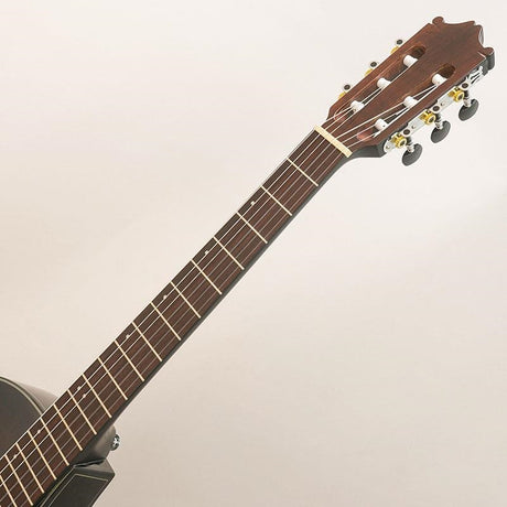 USED_​​GA30TCE_DVS_Ibanez_09
