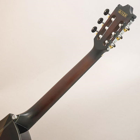 USED_​​GA30TCE_DVS_Ibanez_10