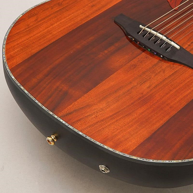 [Special_Price]_Celebrity_Elite_Exotic_CE44P-FKOA_Ovation_08
