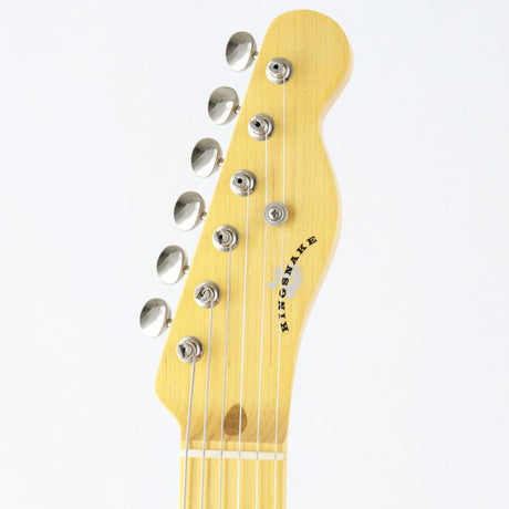 USED_​​Sidewinder_(Butterscotch_Blonde)_[SN_0117]_Kingsnake_05