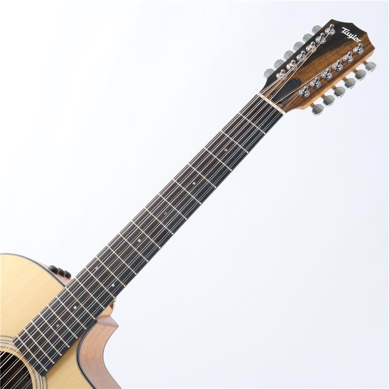Taylor_150ce_(12-string)_05